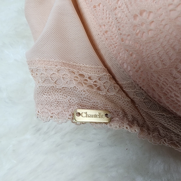 CHANTELLE Festivite Lace Plunge Bra in Nude Blush 36G - Picture 2 of 5